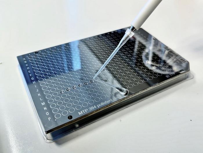 Preparation of a sample plate for ZooMS analysis