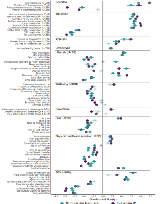 Figure 3. Genetic correlation results of the multivariate GenLang GWAS analysis, with comparisons to those for the largest published GWAS of full-scale IQ in LDhub