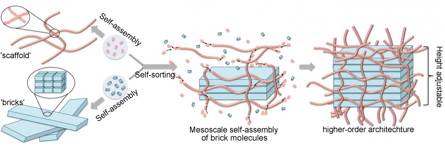 Nanoscale Construction