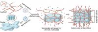 Nanoscale Construction