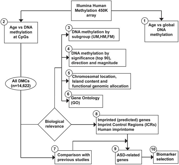 Age-specific DNA methylation alterations in sperm at imprint control regions may contribute to the risk of autism spectrum disorder in offspring