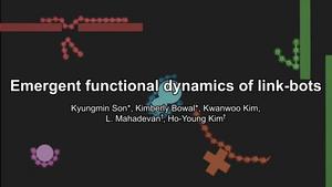 Overview of the emergent functional dynamics of link-bots