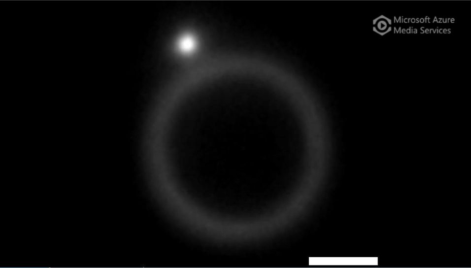 Trapped microroller