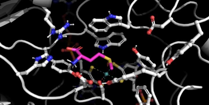 Amino acids