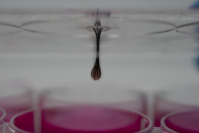 New Sensor Lowers the Cost of Studying Genetic Disorders