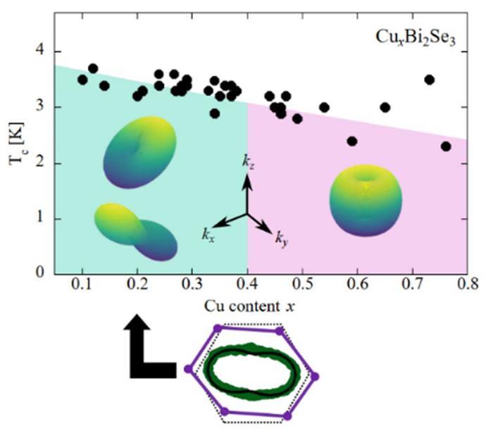 Synchrotron X-ray diffraction reveals lattice distortion in topological superconductor CuxBi₂Se₃