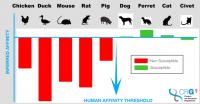 Spike binding affinity across different species