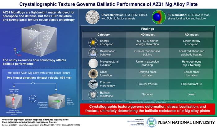 Texture-Driven Ballistic Response of AZ31 Mg Alloy