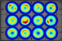 Heatmap