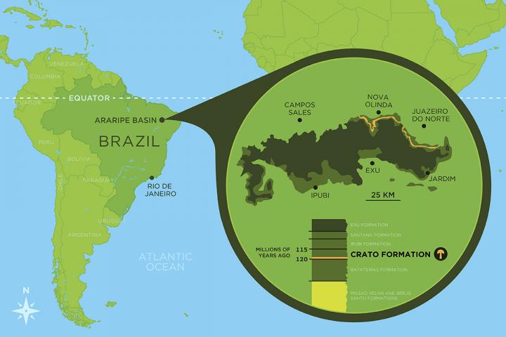Fossil Mushroom Map