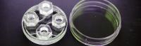 Insert with the Petri Dish