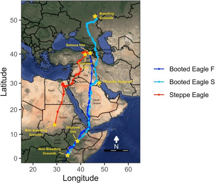 eagle migration map