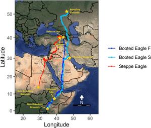 eagle migration map