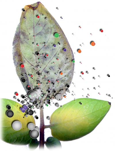 A Genomic Approach to Food Production (3 of 6)