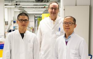 Immune cells remember their location