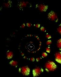 Nucleus