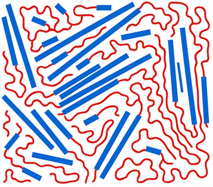 Schematic presentation of a copolymer