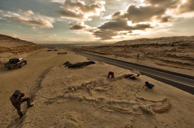 Whale Graveyard (2 of 3)