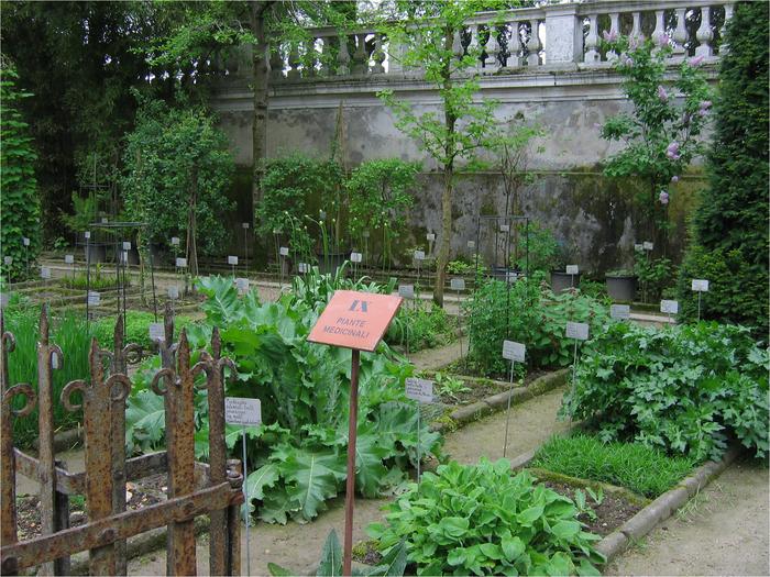 Physic garden