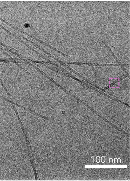 Fibrils with prion-like proteins