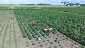 Technology in the fields