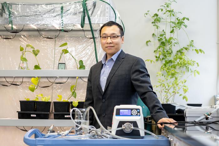 Wen Zhang, NJIT Professor of Civil & Environmental Engineering