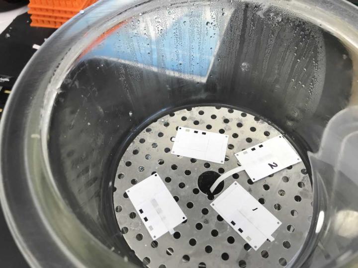 UTSA Test Strips
