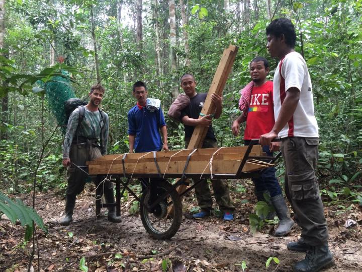 Matthew Luskin Building Fenced Wildlife Exclosures in Pasoh