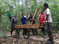 Matthew Luskin Building Fenced Wildlife Exclosures in Pasoh