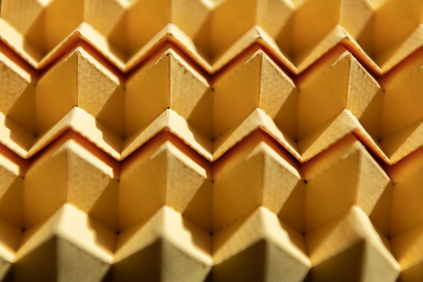 Morphing Origami (1 of 2)