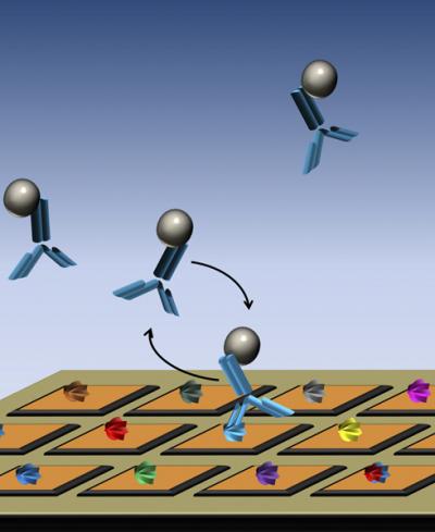Drawing of Microchip with Nanosensor Array
