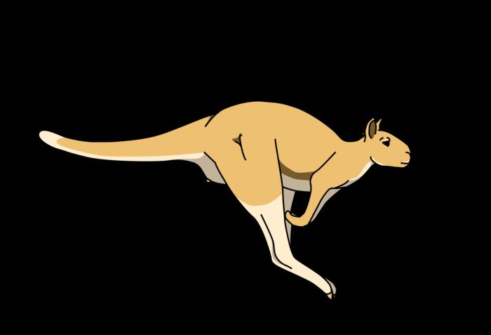 Jumping giants: Fossils show giant prehistoric kangaroos could still hop