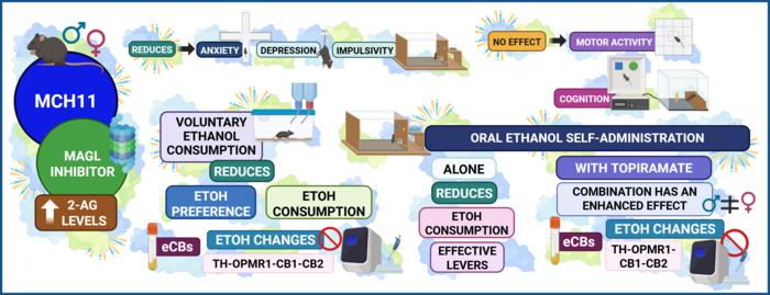 New molecule reduces ethanol intake and drinking motivation in mice, with sex-dependent differences