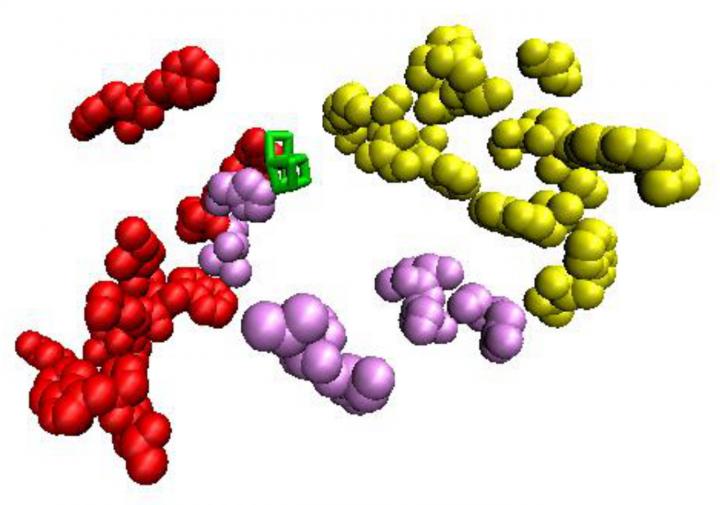 Damaged Amino acids ID'ed in Study