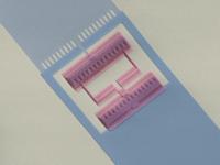 Zoom-In of the Artificial Atom
