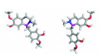Two Paths to Complex, Plant-Based Medicines