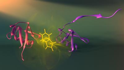 Researchers Watch Tiny Living Machines Self-Assemble