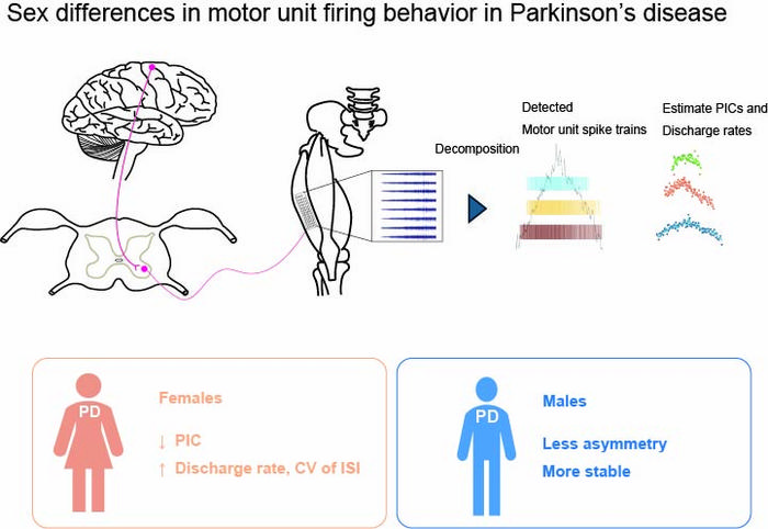 Graphical Abstract
