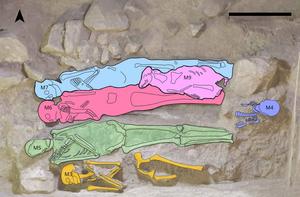 Detail of superposition