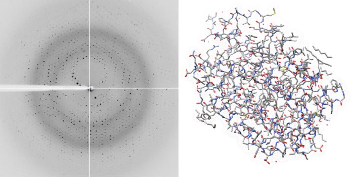 X-Ray Diffraction Image
