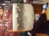 Calcite Floating