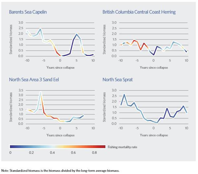 Collapses of Four Forage Fish Populations