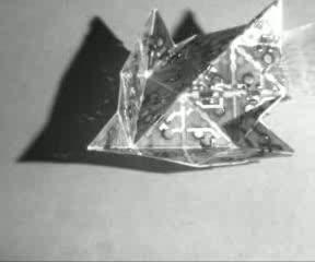 Movie of Self-folding Sheet in Action