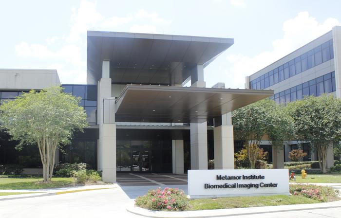 Metamor Institute