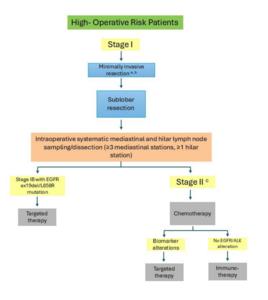 High-Operative Risk Patients