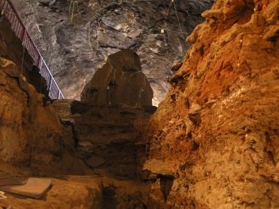 View from Bottom of Excavated Area