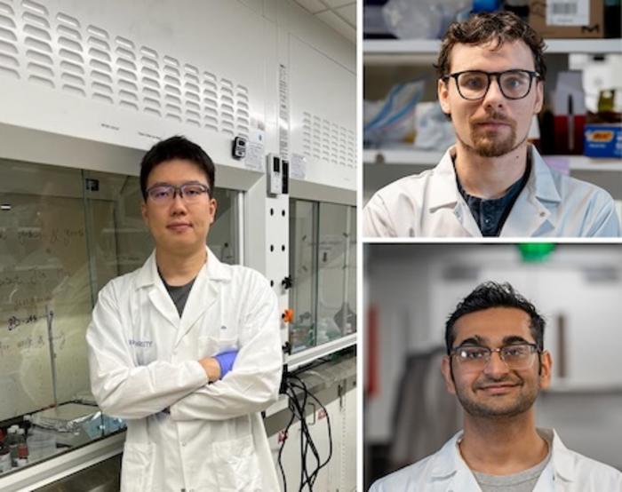 researchers