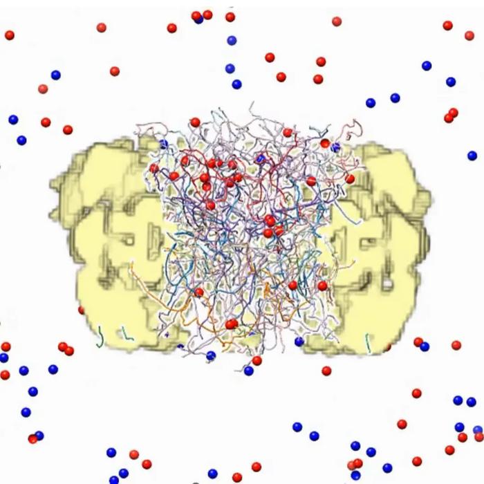 Nuclear pore complex