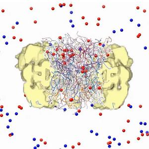 Nuclear pore complex