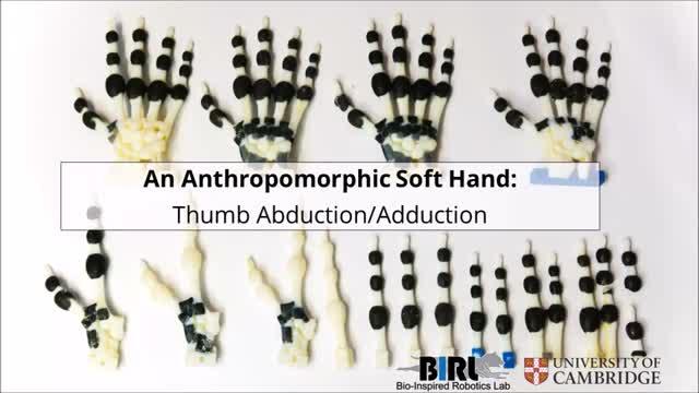Human-like Skeleton Hand Plays the Piano Using a 'Passive' Technique (6 of 7)